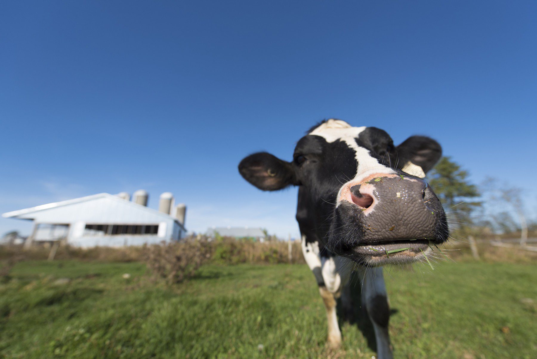 Rapport du panel du PTPGP sur l'administration par le Canada des