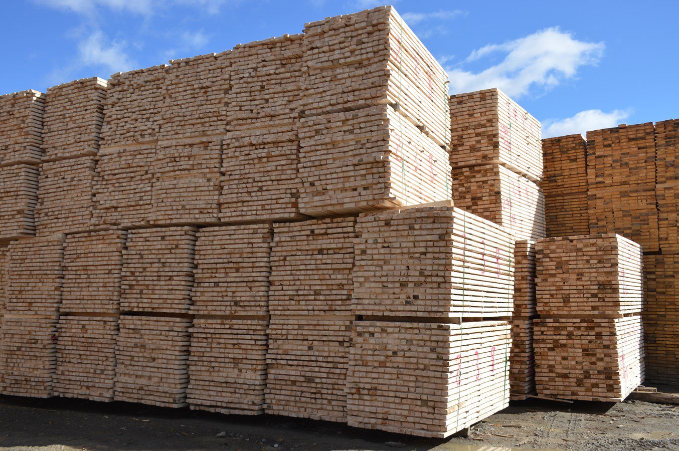 NAFTA Panel rules U.S. duties on Canadian softwood lumber are ...