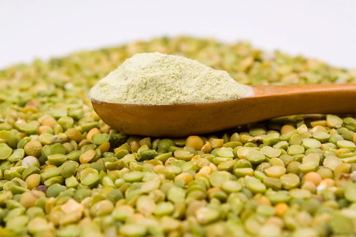 Tribunal finds dumping and subsidizing of pea protein from China
